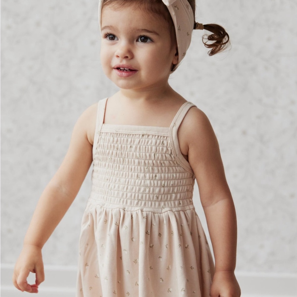 NWT Jamie Kay Kaia Dress in Elenore Pink Tint Sz 3